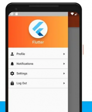 immagine.png (319×386 px, 81 KB)