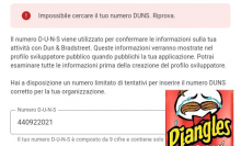 DUNS not accepted in Google Play Store - Italiano.png (552×335 px, 153 KB)